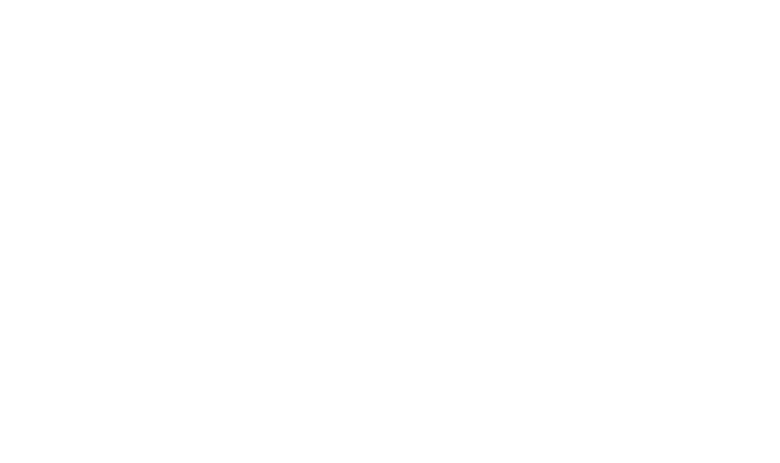 crazyartist-logo1